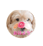 uchinocoro（個別スタンプ：4）
