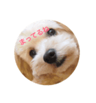 uchinocoro（個別スタンプ：7）