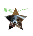 みるきぃラボ（個別スタンプ：11）