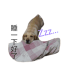 kuloWawa（個別スタンプ：6）