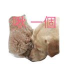 kuloWawa（個別スタンプ：12）