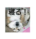 まりん_1（個別スタンプ：3）