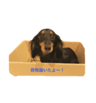 ワカたんの気持ち（個別スタンプ：4）
