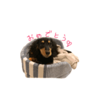 ワカたんの気持ち（個別スタンプ：6）