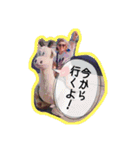 女バレの愉快な仲間たちのスタンプです。（個別スタンプ：4）