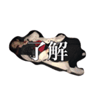 女バレの愉快な仲間たちのスタンプです。（個別スタンプ：5）