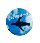 動物お顔スタンプ（個別スタンプ：10）
