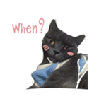 TaoTao Cat（個別スタンプ：11）