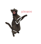 TaoTao Cat（個別スタンプ：15）