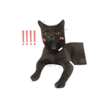 TaoTao Cat（個別スタンプ：22）