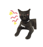 TaoTao Cat（個別スタンプ：39）