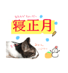 ねこテト＊ふゆ（個別スタンプ：2）