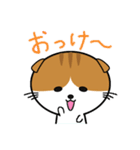 ほのぼのスコティッシュ（個別スタンプ：1）