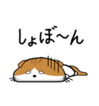 ほのぼのスコティッシュ（個別スタンプ：2）