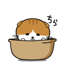 ほのぼのスコティッシュ（個別スタンプ：3）