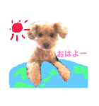 まるぷーのりんこ（個別スタンプ：1）