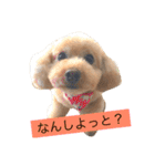 まるぷーのりんこ（個別スタンプ：6）