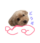 まるぷーのりんこ（個別スタンプ：20）