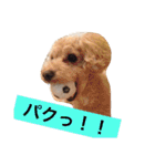 まるぷーのりんこ（個別スタンプ：23）