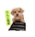 まるぷーのりんこ（個別スタンプ：24）