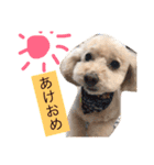 まるぷーのりんこ（個別スタンプ：28）