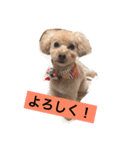 まるぷーのりんこ（個別スタンプ：30）