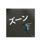 いろ鳥どりスタンプ（個別スタンプ：10）