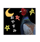 いろ鳥どりスタンプ（個別スタンプ：16）