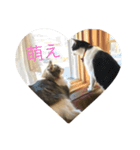 にゃんずKK1（個別スタンプ：15）