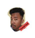 ricar comel（個別スタンプ：8）