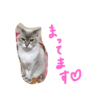 ちゃむんちゃんちゃん（個別スタンプ：15）