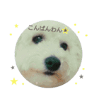 れおきゅんスタンプ（個別スタンプ：13）