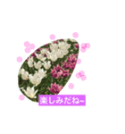 ことのは 花より（個別スタンプ：8）