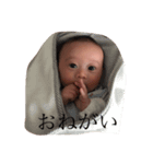 maa baby（個別スタンプ：2）