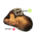 Baby Boy 1703 part2（個別スタンプ：3）
