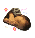 Baby Boy 1703 part2（個別スタンプ：8）