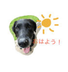 やまざきさんちのすたんぷ（個別スタンプ：1）