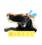 やまざきさんちのすたんぷ（個別スタンプ：5）