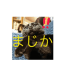 やまざきさんちのすたんぷ（個別スタンプ：7）