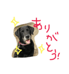 やまざきさんちのすたんぷ（個別スタンプ：8）