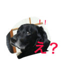 やまざきさんちのすたんぷ2（個別スタンプ：1）