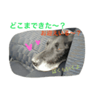 やまざきさんちのすたんぷ2（個別スタンプ：3）