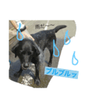 やまざきさんちのすたんぷ2（個別スタンプ：7）