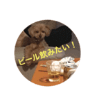 トイプードルのセシルちゃん（個別スタンプ：6）