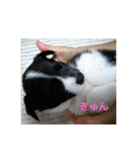 MIX犬★食いしん坊くぅの日常【青春編】（個別スタンプ：2）