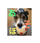 MIX犬★食いしん坊くぅの日常【青春編】（個別スタンプ：17）