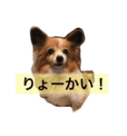 ミリアン（個別スタンプ：1）