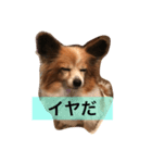 ミリアン（個別スタンプ：2）
