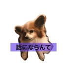 ミリアン（個別スタンプ：4）