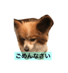 ミリアン（個別スタンプ：6）